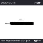 Red Dragon Peter Wright Snakebite WC2020 Diamond