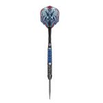 Shot Viking Raven