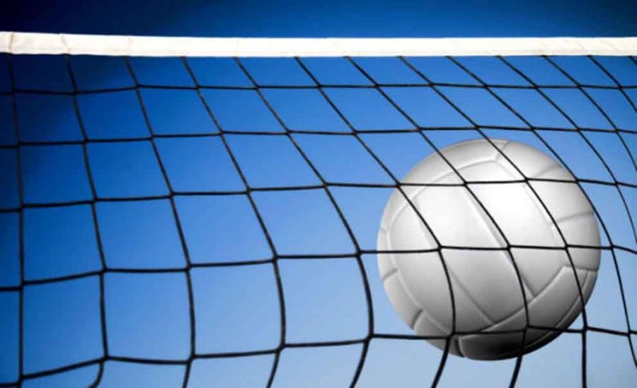 Volleyball Net