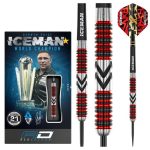 images Red Dragon Gerwyn Price Firebird