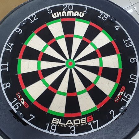 Dartboard Number Ring