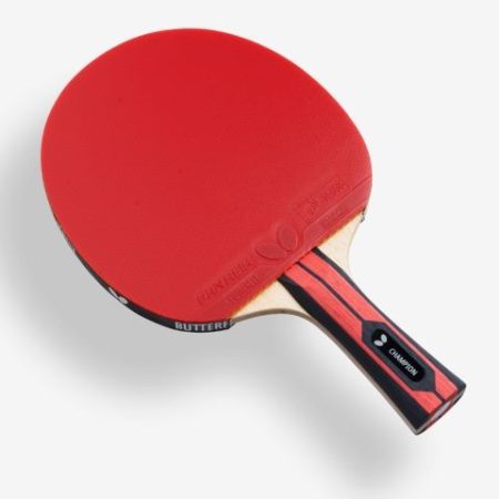 Butterfly Team Champion Hobby Bat