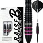 images One80 Raise B-PI Darts