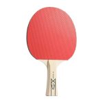 Lion Basic Winner Bat