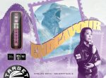 Target Japan Endeavour Kasumi Sato SP Darts