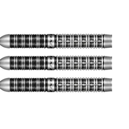 Shot Niels Zonneveld Darts