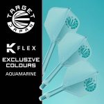 Target Japan Limited Aqua Edition K-Flex N02 Flights Short