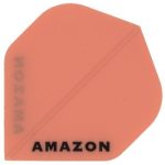 Amazon Flights