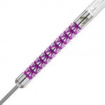 Red Dragon Peter Wright Vyper